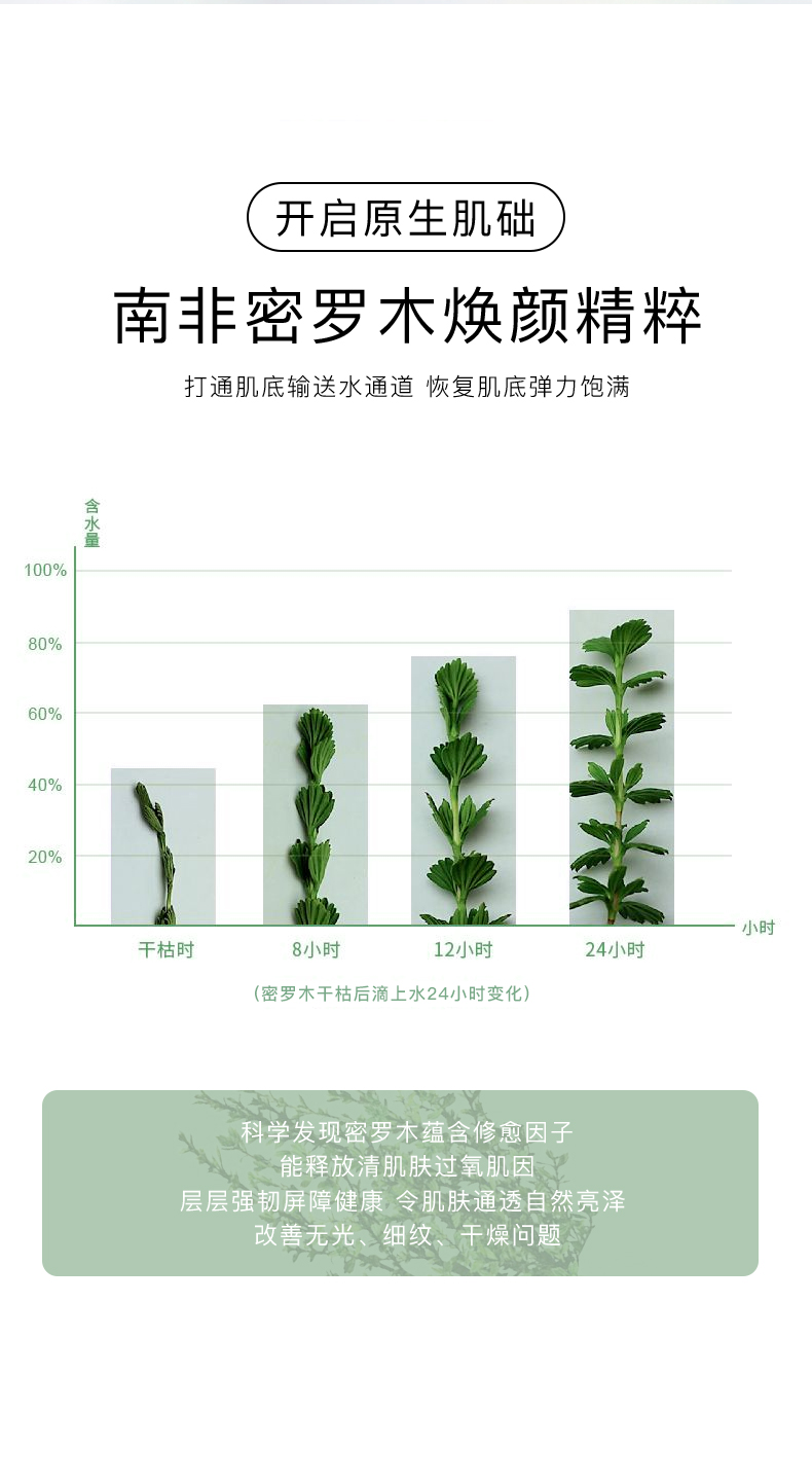 積雪草多效修護面膜_06